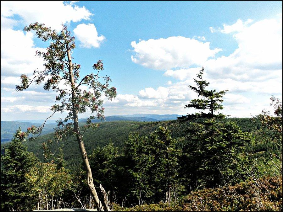 Widok na Izery