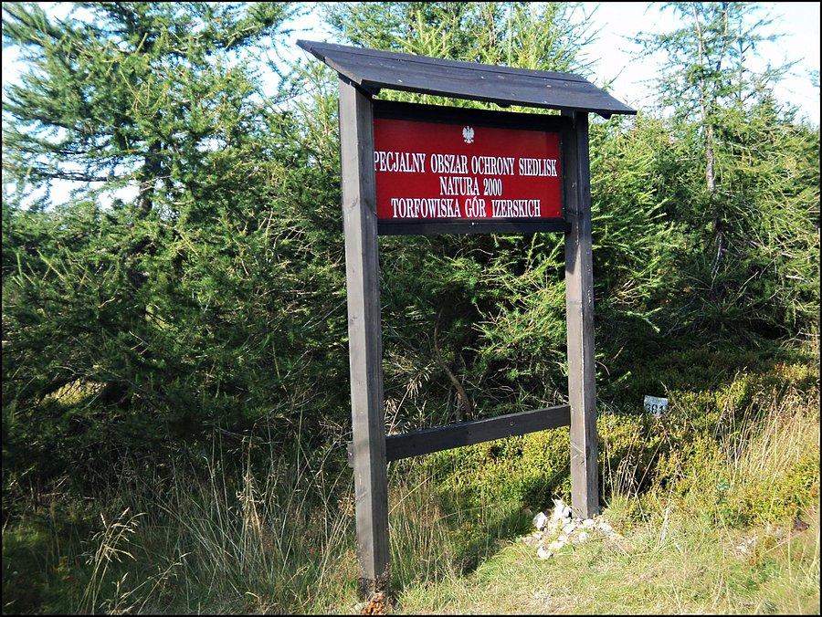 Torfowiska Gór Izerskich