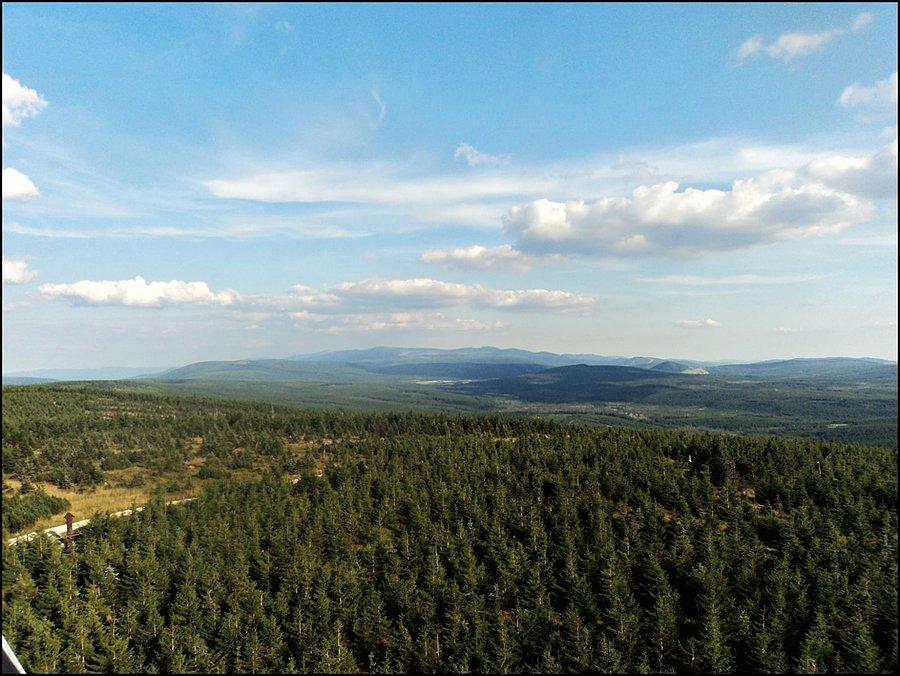 Widok z wieży widokowej na Smrku; 3
