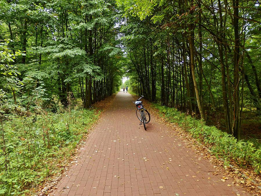 Ścieżka rowerowa - prowadzi nad jezioro Borówno Wielkie
