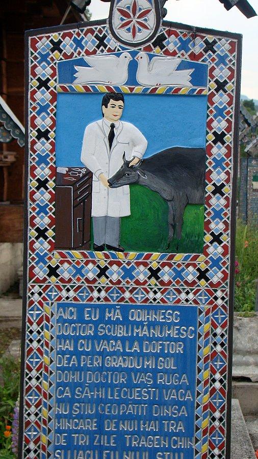 Jest też weterynarz