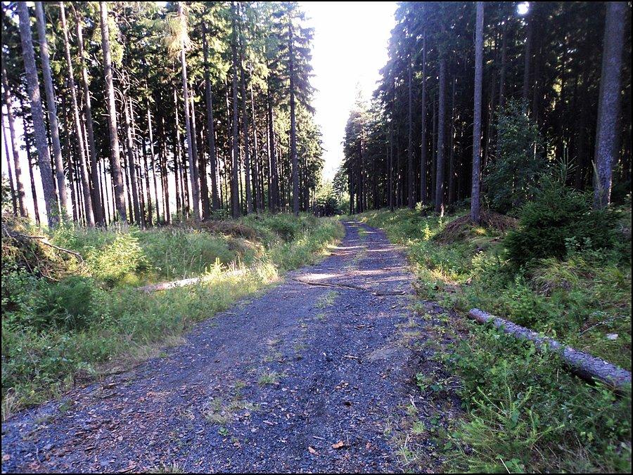 Zjazd do Świeradowa