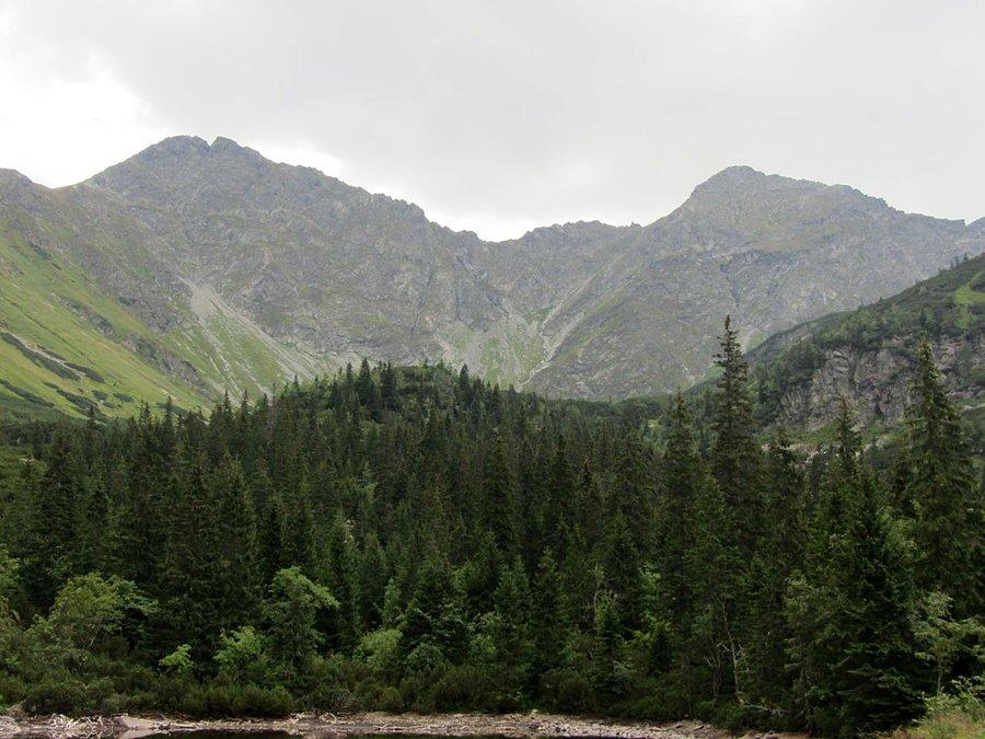 Widoczek na miejscu II