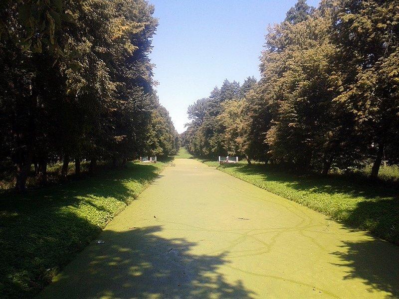 Kanały parkowe