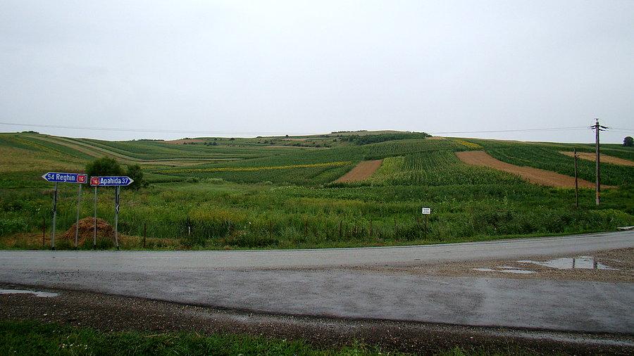 Przechodzi kolejny deszcz