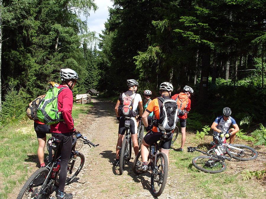 Zibi jako pierwszy coś zaczyna podejrzewać i szuka banana do wstępnej obrony i dzwoneczka w razie gdyby zgubił się w leśnej głuszy. Reszta jeszcze nieświadoma patrzy się ze zdziwieniem