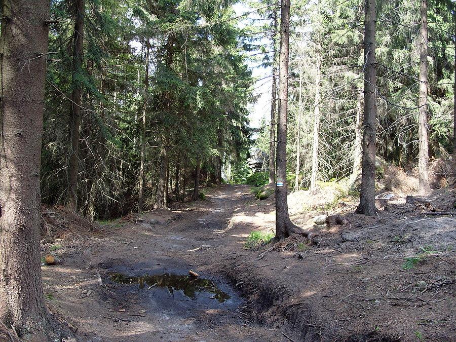 Widok nr 2. Jak tu pięknie nawet można się potaplać w błotku