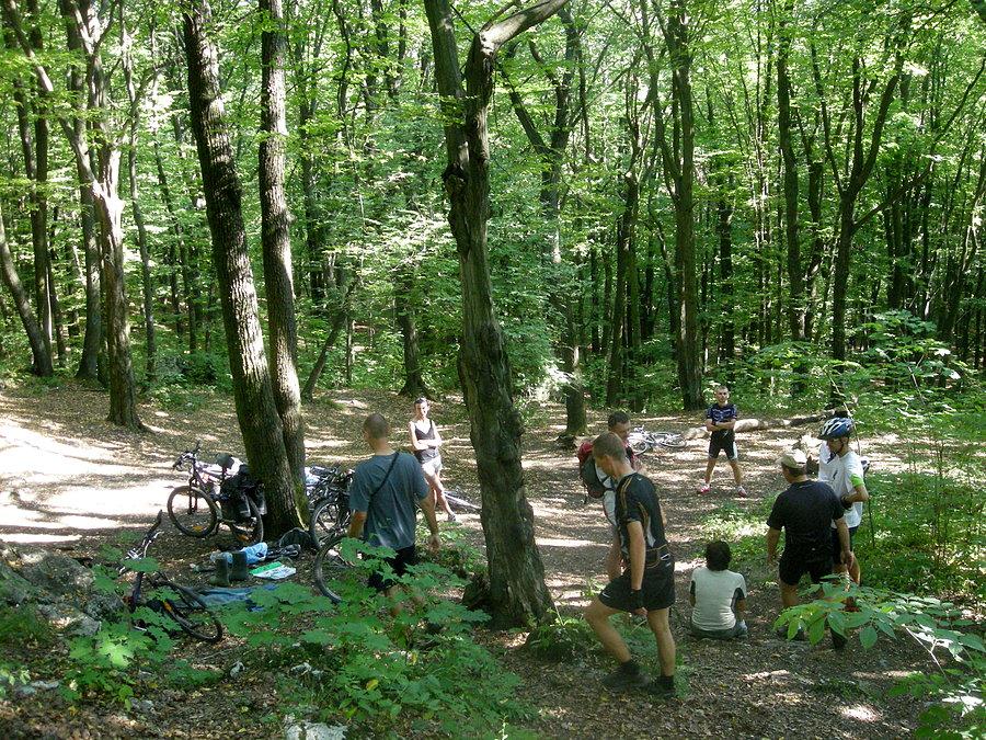 Jurajska Zlotówka 2013 - Na Zielonej Górze