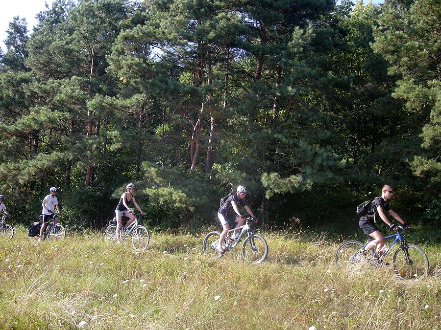Jurajska Zlotówka 2013 - wzdłuż ściany lasu