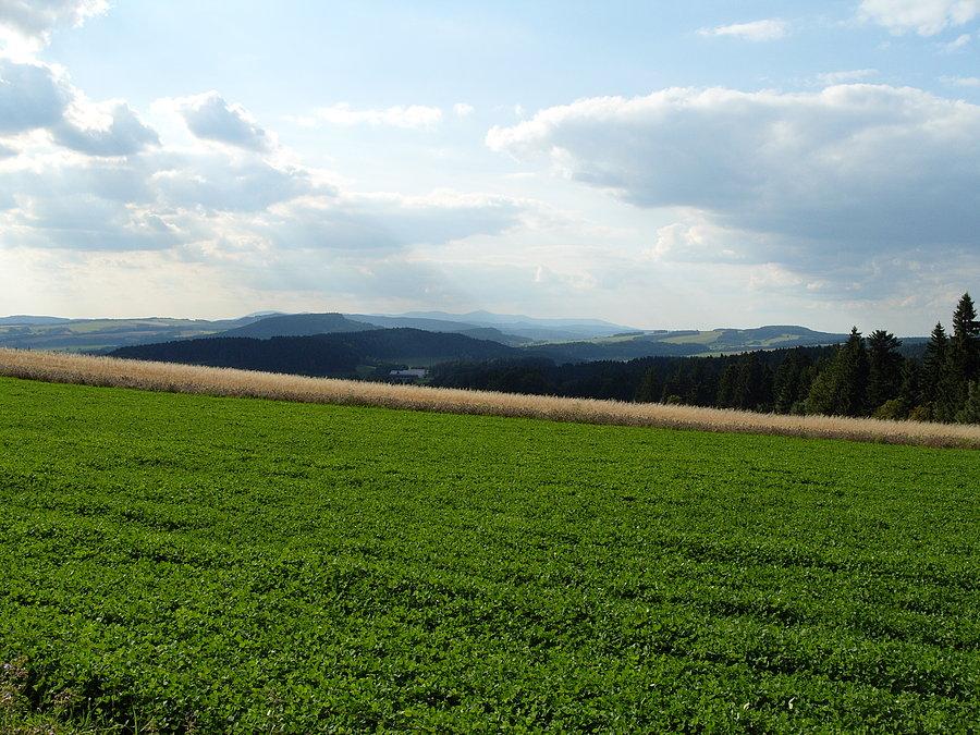 Wreszcie to co owieczki lubią najbardziej ;) soczysta trawa, przejrzyste widoki i mokre piwko ;)