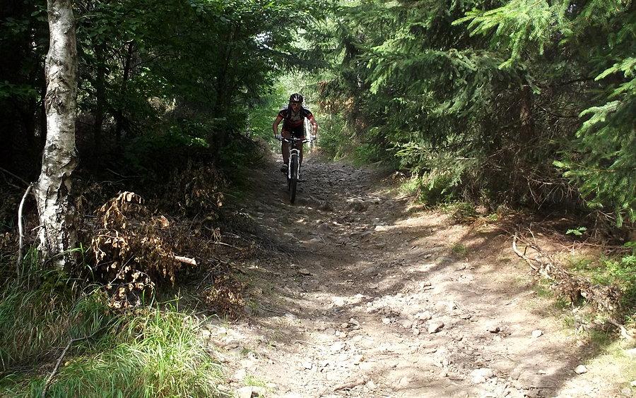 Fragment zjazdu żółtym. Sama przyjemność jazdy mtb !