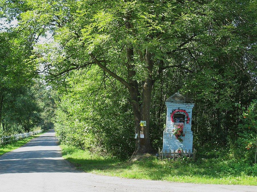 Kapliczka w Kamionce