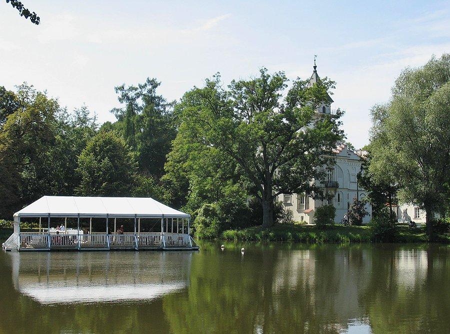 Radziejowice - pomost na stawie w parku pałacowym