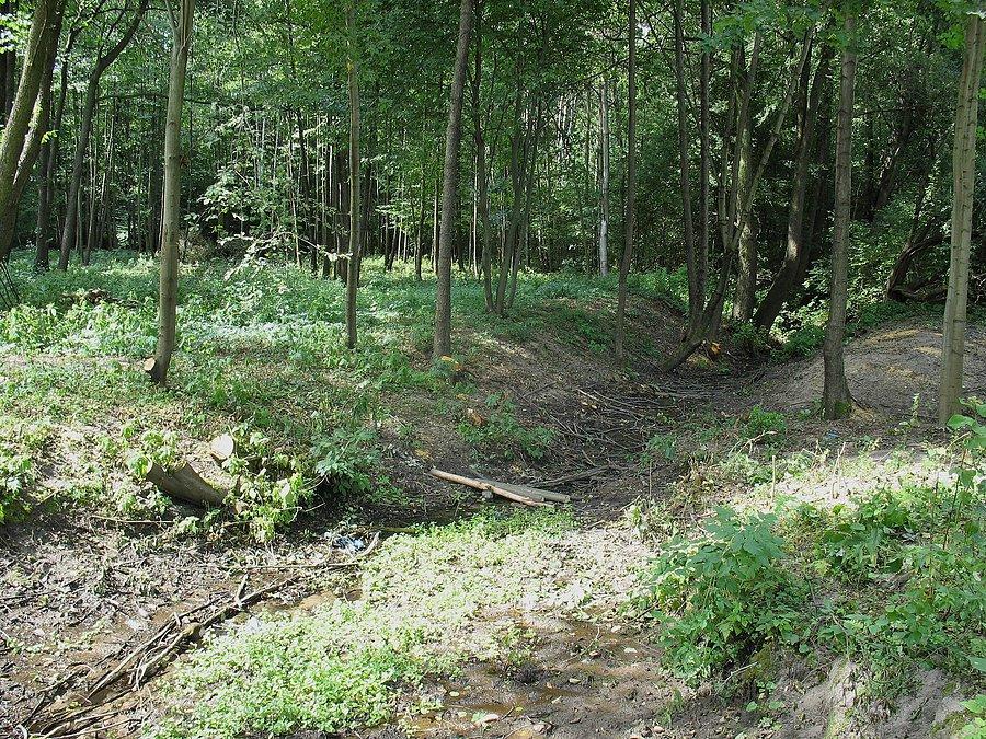 Adamowice - w poszukiwaniu rowu przeciwczołgowego