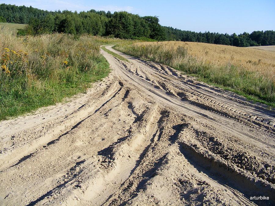 Rozjazd w Dębogórzu, tak pokazała nawigacja rowerowa, dobry kierunek :-)