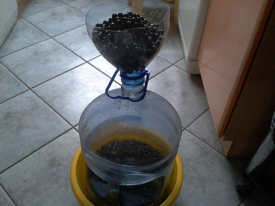 Tu będzie winko za jakieś 12 tygodni