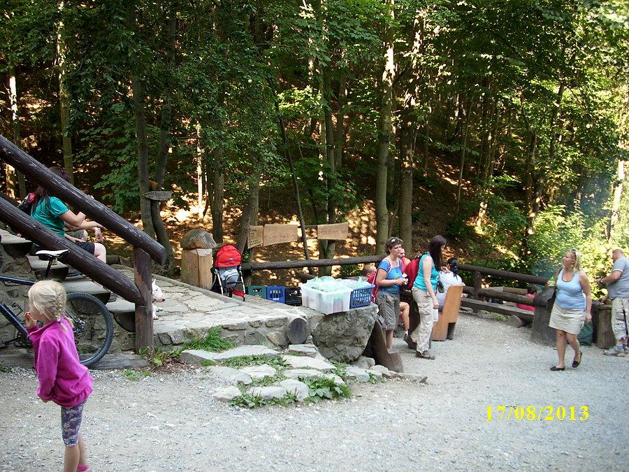 Leśny bar