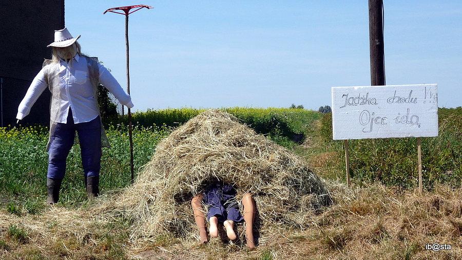 Przygotowania do dożynek i jarmarku