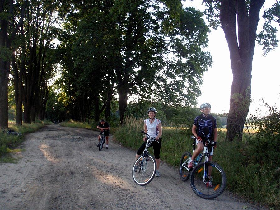 W Alei Klonowej czarnykotek, drBike, Bugs