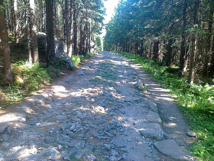 Dolina Suchej Wody. Podjazd pod Murowaniec I