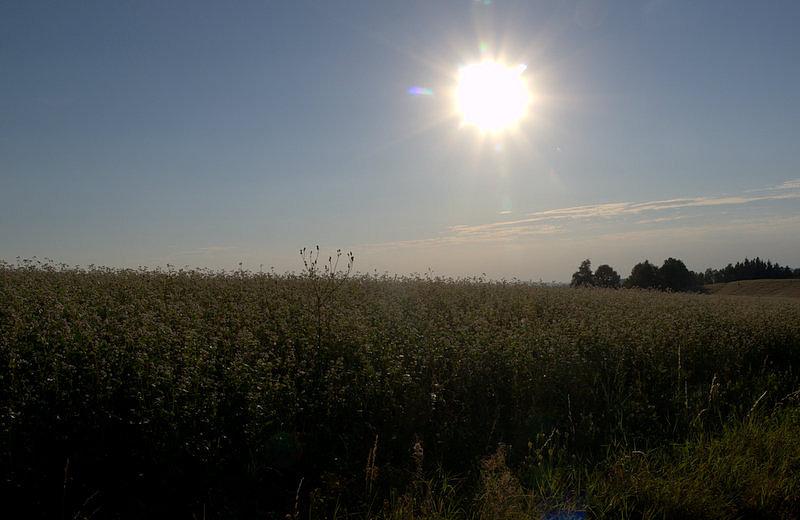 Dzień powoli się kończy