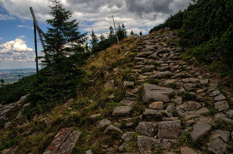 Na szlaku na przełęczy Karkonoskiej
