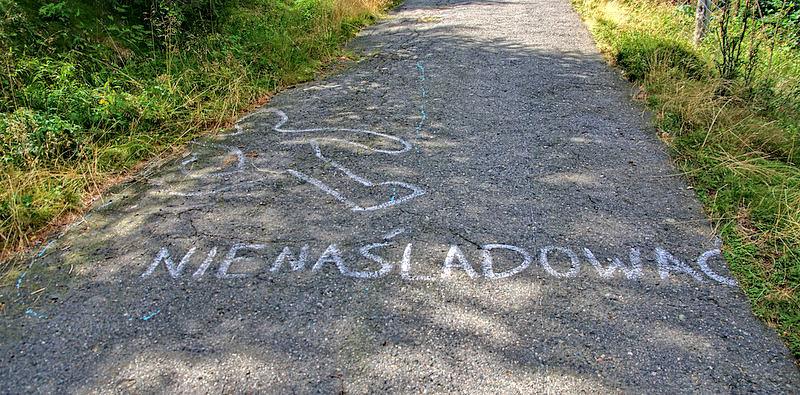 Na podjeździe na przełęcz Karkonoską