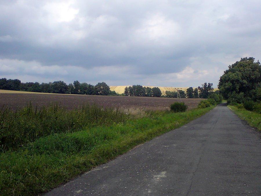 Słońce ozłociło pola