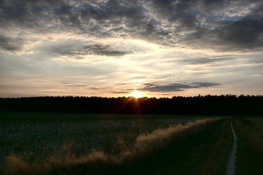 Słońce już za lasem czas do domu wracać