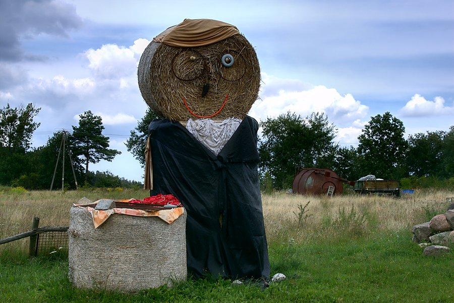 Pan Sowa pod Rekowem
