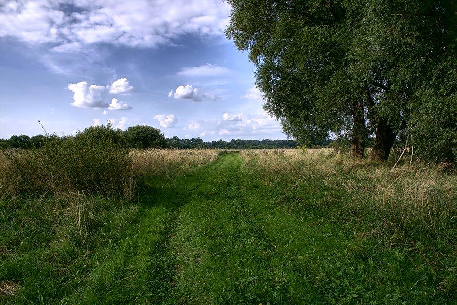 Droga pierwszy i nie ostatni raz mi się skończyła