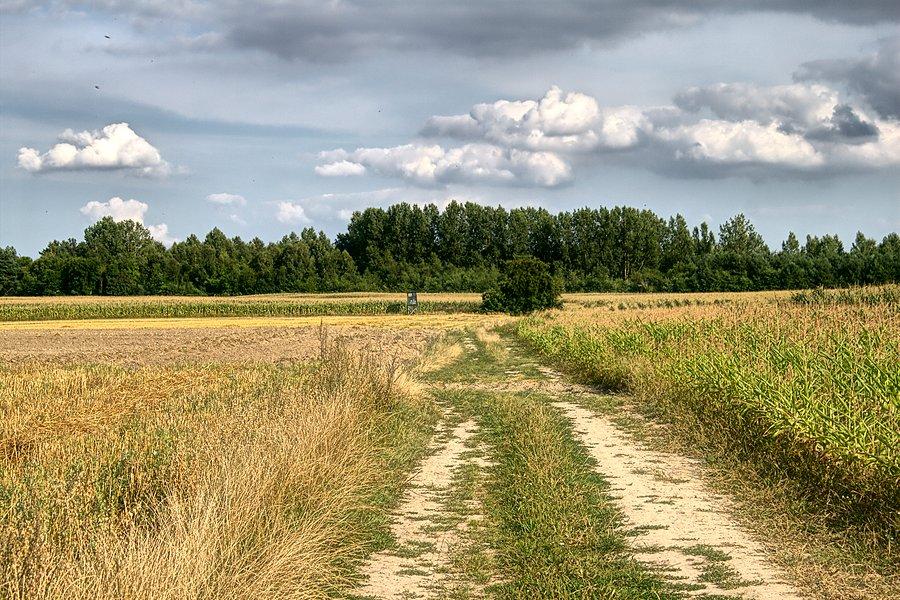 Szukam przejazdu do Jęczydołu