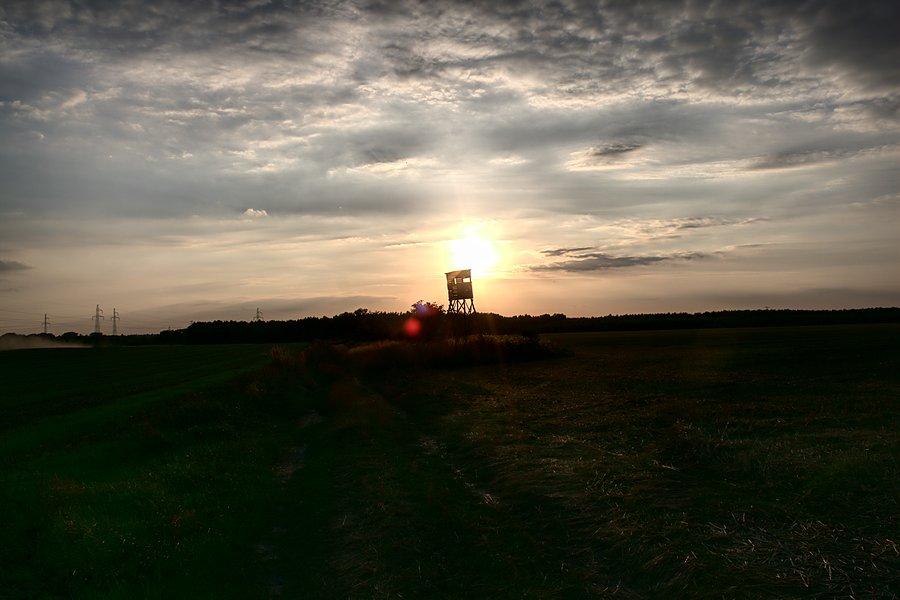 Ambonka w słońcu