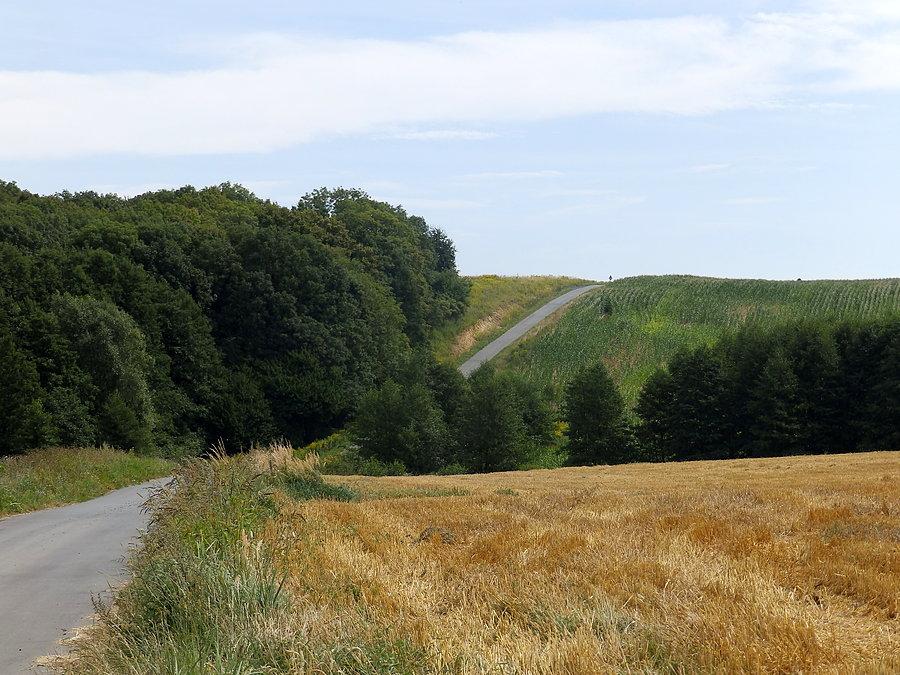 Widok podjazdu z Radłowa