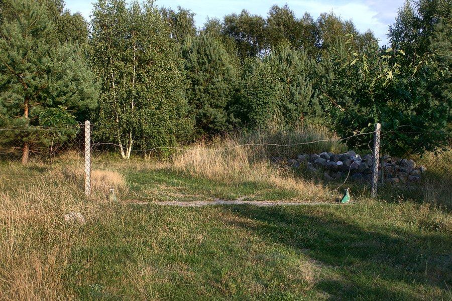 Albo droga kończyła się tak
