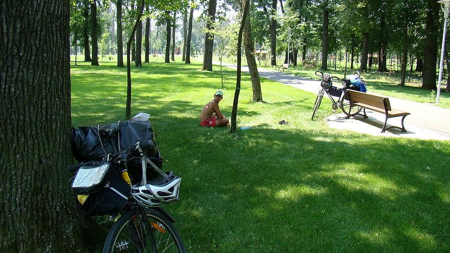 Odpoczynek w parku