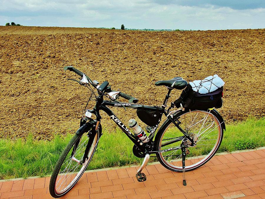 Pole p żniwach - zbliża się koniec lata