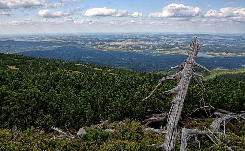 Panorama z okolic Wielkiego Szyszaka