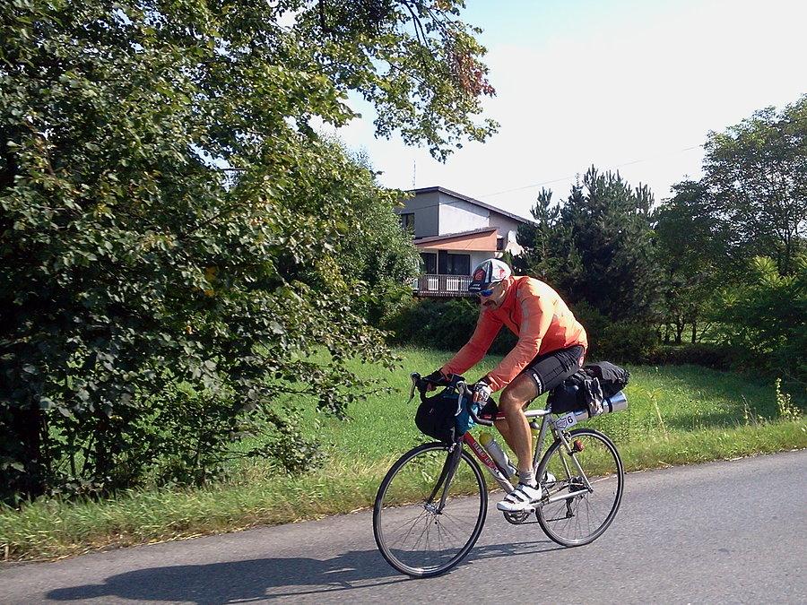 Wilk na trasie MRDP w Goleszowie