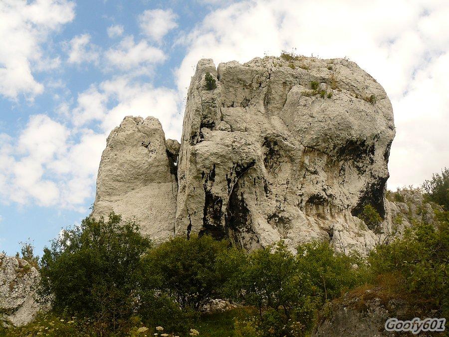 Skałki Rzędkowickie 3