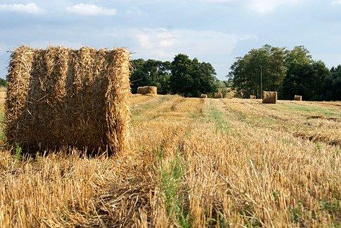 Czyżby już koniec lata?