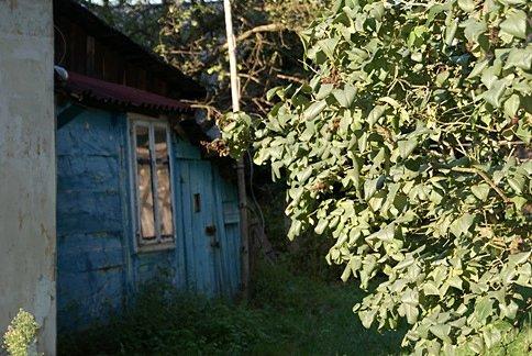 Kawałek sympatycznej chaty w Jadwigowie