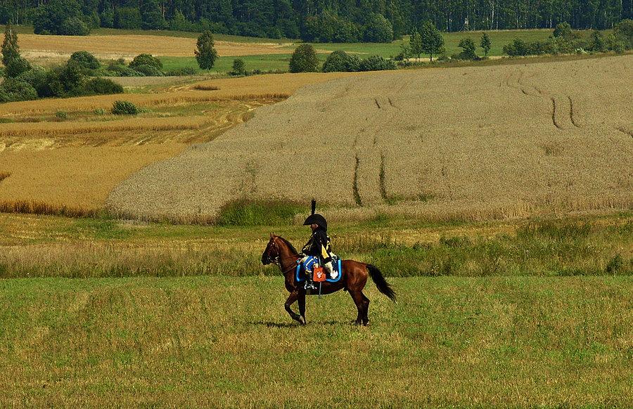 Na polu bitwy w Będominie