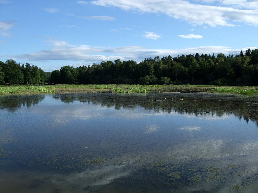 Jeziorko Isbladskärret na wyspie Djurgården w Sztokholmie