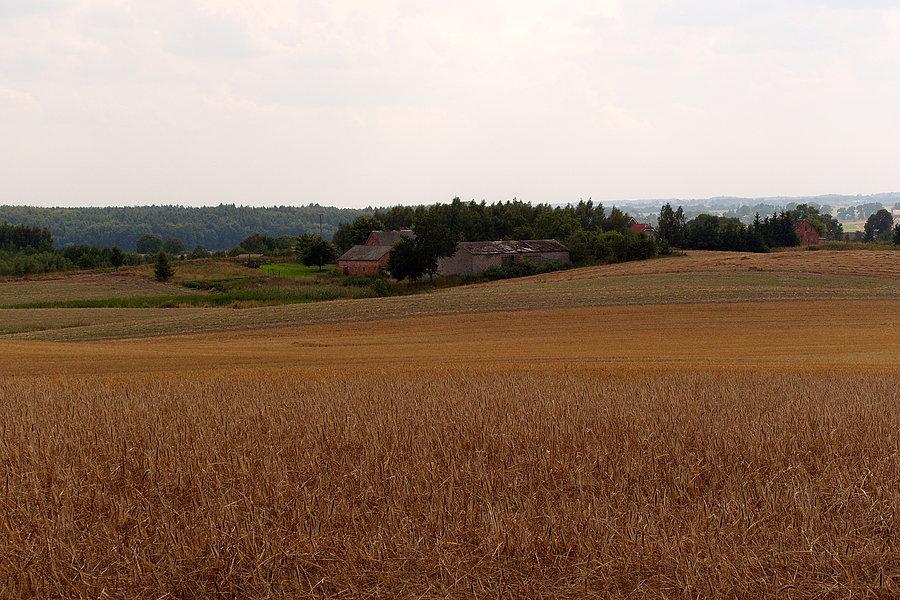 Gdzieś w polach