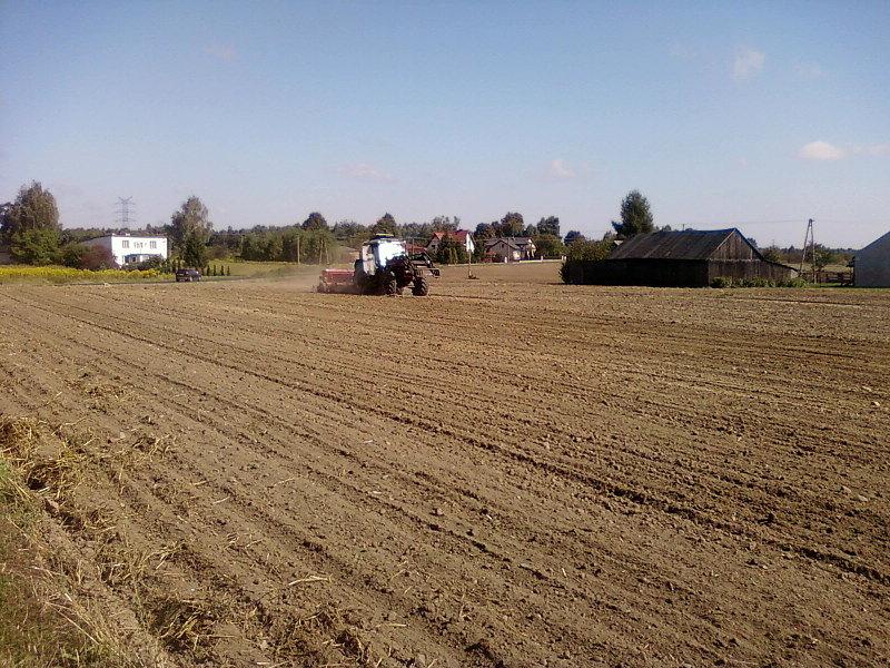 Traktor w polu