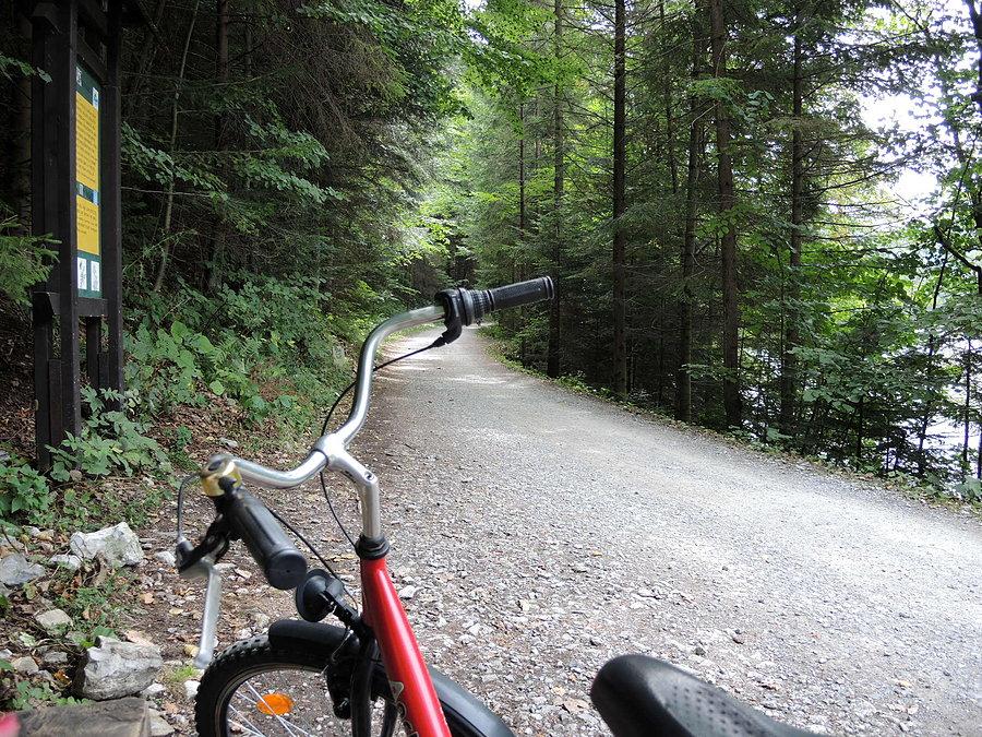 Droga rowerowa wzdłuż Dunajca cd