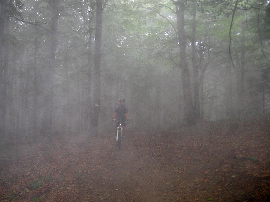 Atmosfera była dosłownie gęsta