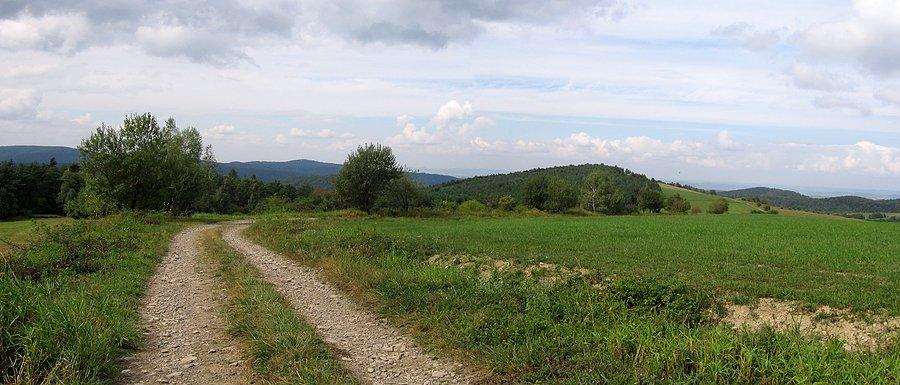 Głowny Szlka Beskidzki przed Puławami