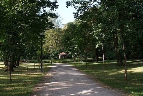 Park podworski w Wielkiej Woli
